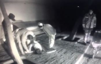 第313页