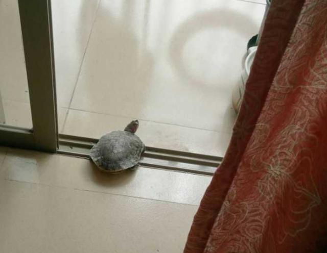 第256页